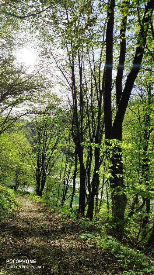 Smaragd River Near Rastoke & Plitvice Lakes Slunj Bagian luar foto